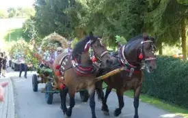 Galeria aktualności Dożynki Gminne w Lipnicy G&oacute;rnej za nami!  48