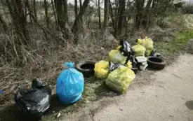 Galeria aktualności "Sprzątanie Świata" w Przysiekach 1