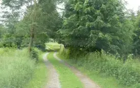 Galeria aktualności Wkr&oacute;tce rozpoczną się remonty dr&oacute;g gminnych!  5