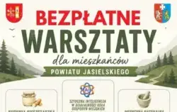 Plakat, drzewa, ikony