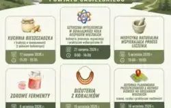 plakat, warsztaty