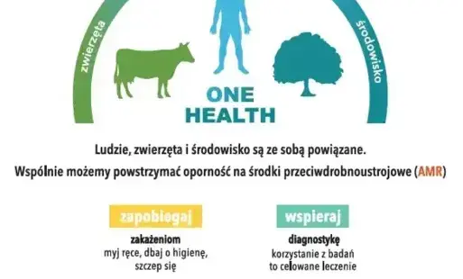 Plakat, Europejski Dzień Wiedzy Antybiotykach 