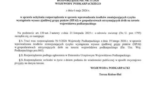 Rozporządzenie, tekst