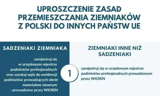 plakat, ziemniaki