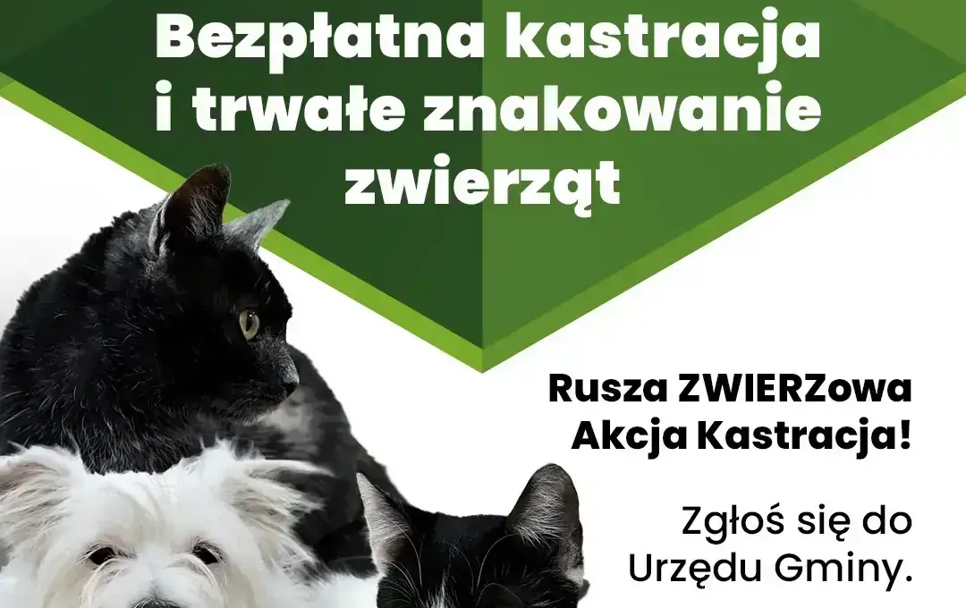 plakat, kastracja zwierząt